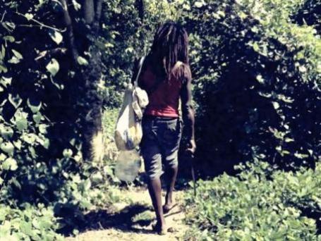 Jamaica Jamaica