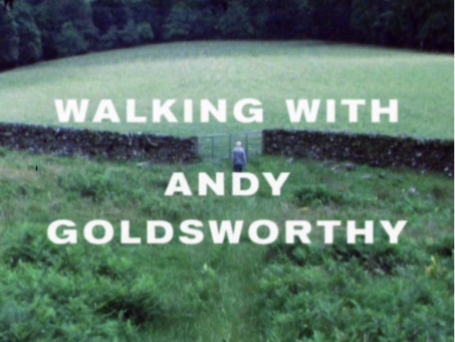 Andy Goldsworthy